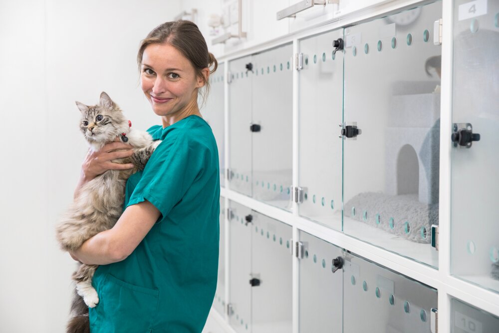 FokkerijKatten2.jpg