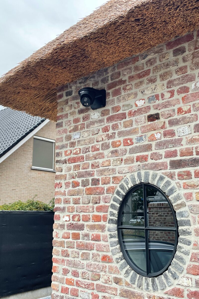 Kan het systeem huisdieren onderscheiden van indringers?