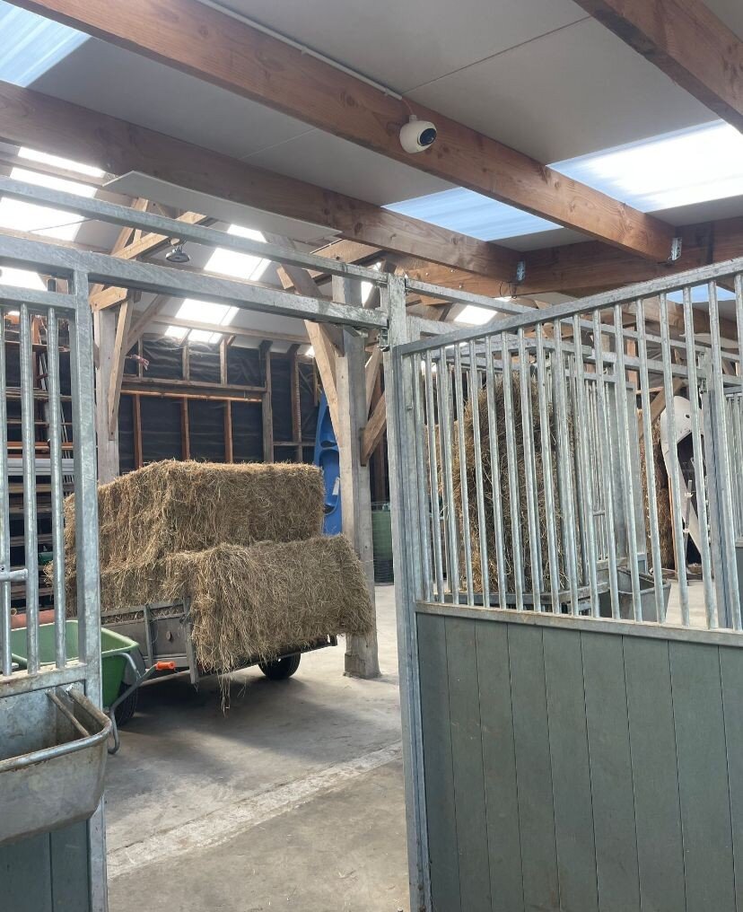 Paardenstal2.jpg